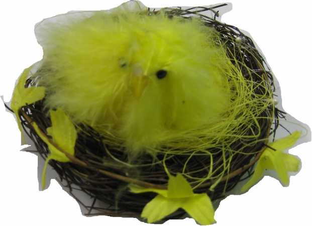 Küken im Nest - Durchmesser: ca. 12 cm