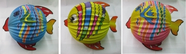 Laterne "Fisch"- Durchmesser: 25 cm - Farbe: blau, gelb oder rosa