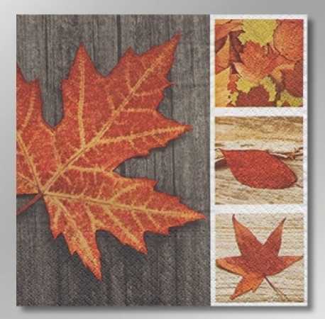 Serviette »Autumn Leaves« kaufen | im Online-Shop von Papier & Party