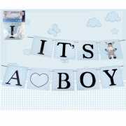 Party-Girlande Esel It's a boy