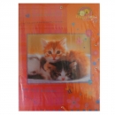 Heftbox "Pretty Pets" - PP - DIN A4